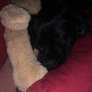 Meet your Posher, Catherine